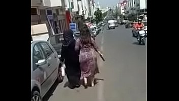 Un gros cut se balade dans la rue