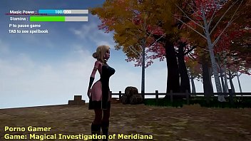 Walkthrough Magical Investigation of Meridiana 2